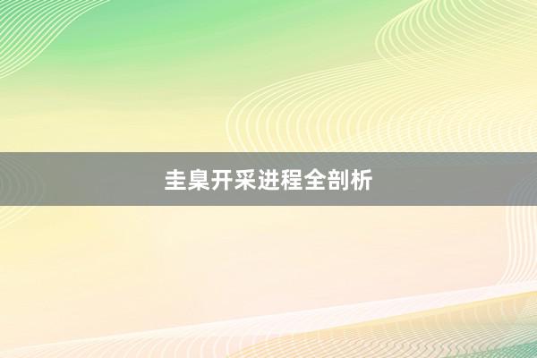 圭臬开采进程全剖析