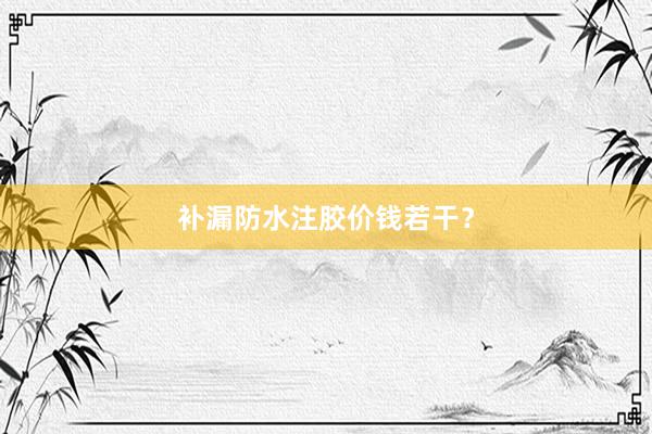 补漏防水注胶价钱若干？
